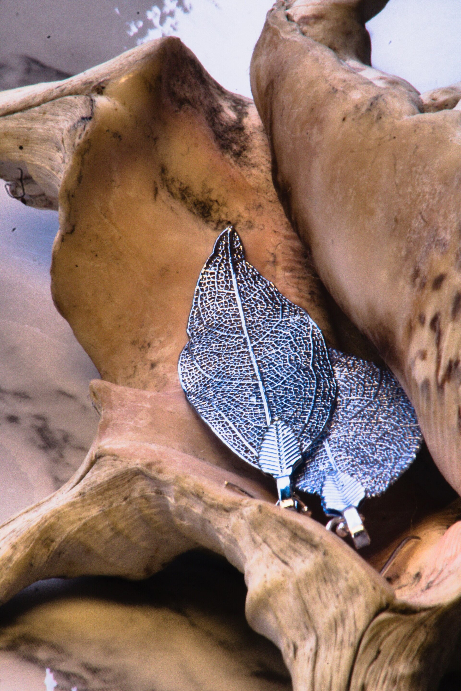 Pendientes de hojas naturales - 2