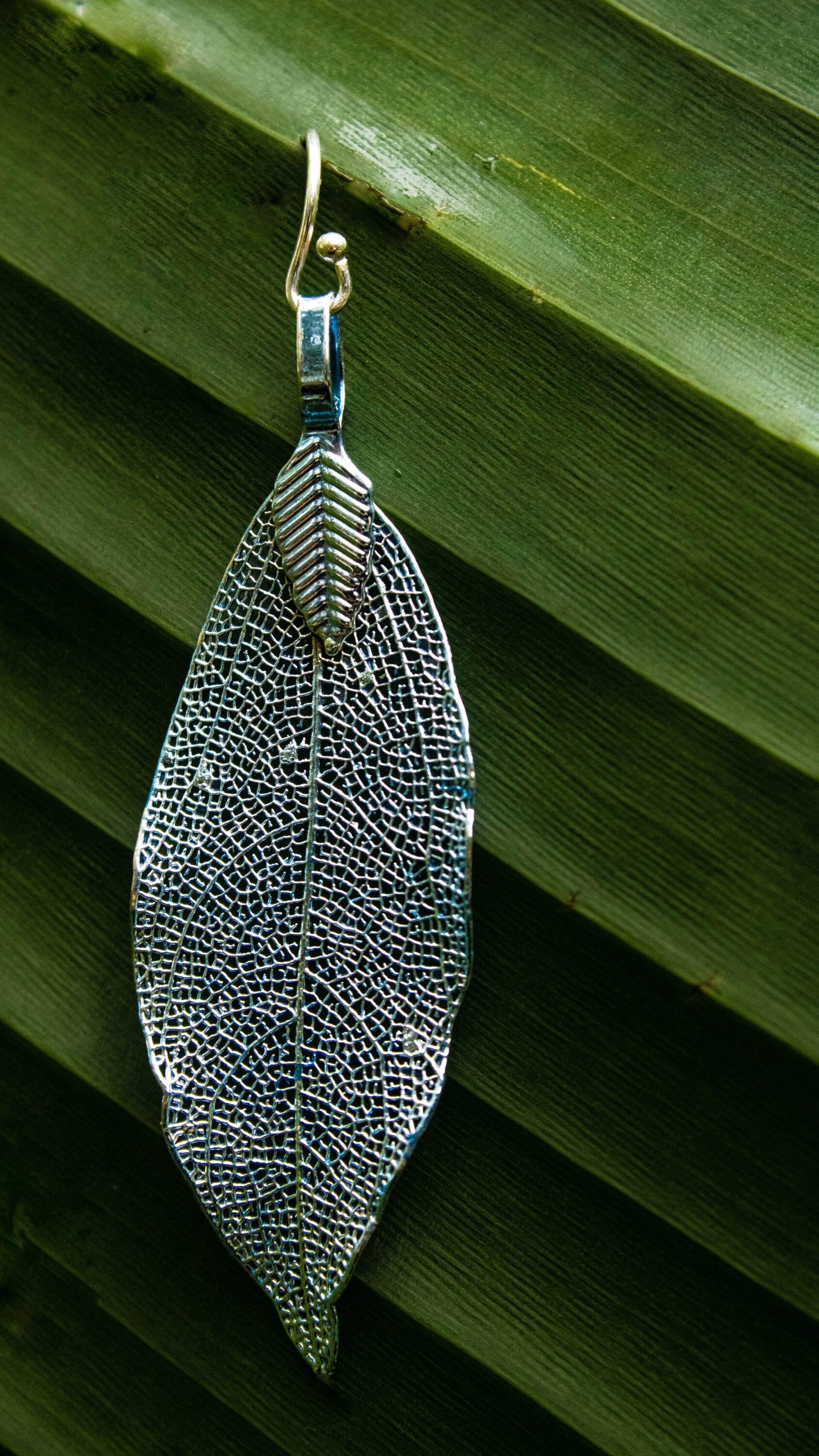 Pendientes de hojas naturales - 3